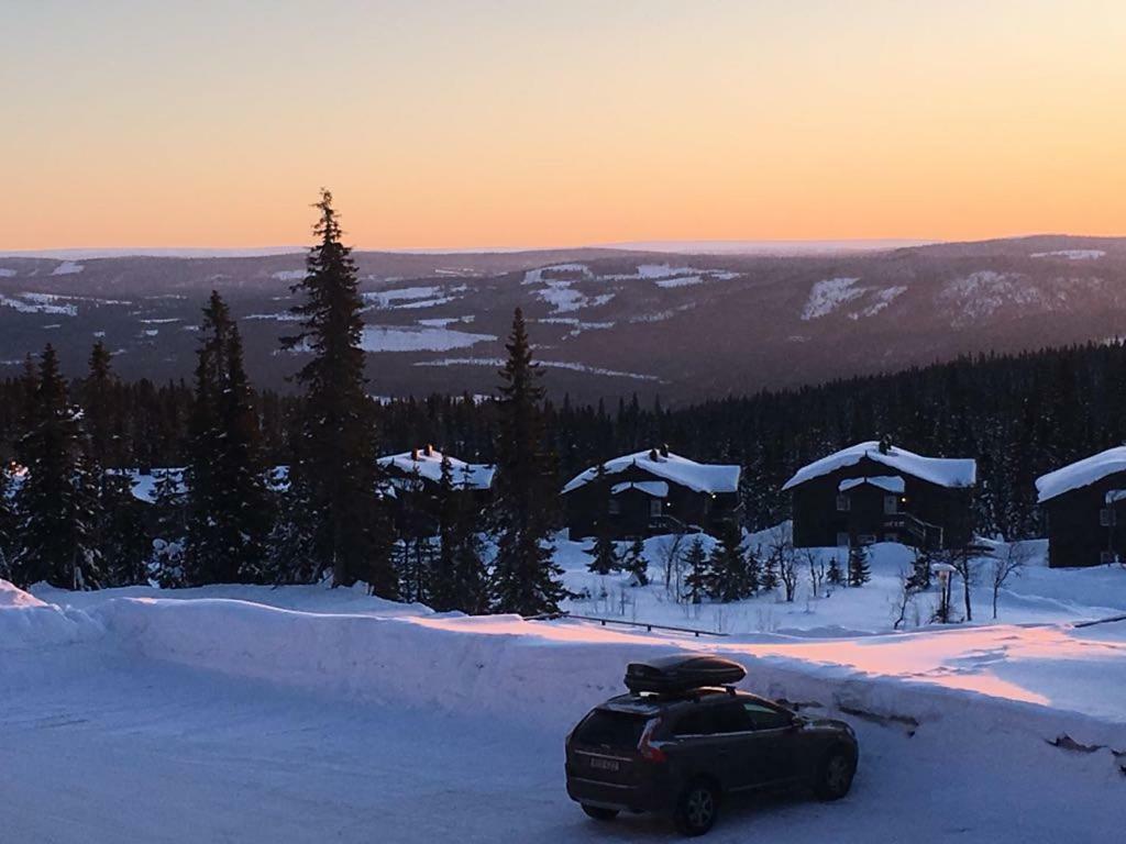 トリシル Lillebjornヴィラ エクステリア 写真
